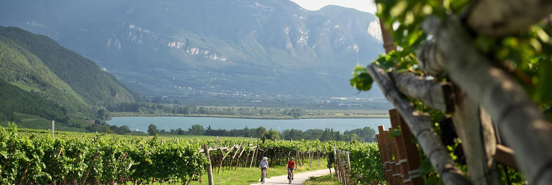 Two cyclists ride along a path through vineyards with a view of a lake and surrounding mountains in the background.